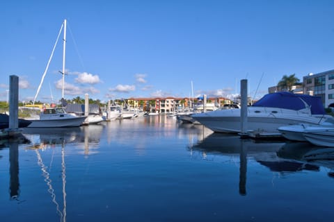 View of marina from condo.