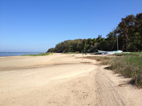 This beach never gets crowded!