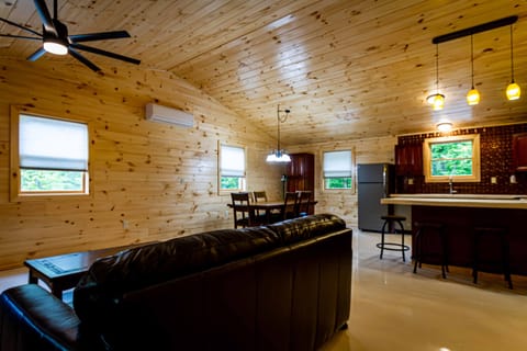 Living area, dining room, kitchen bar