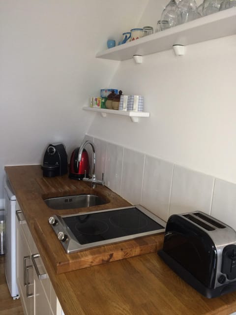 Kitchenette in lounge: fridge, 2 ring induction hob, Nespresso, toaster, microwa