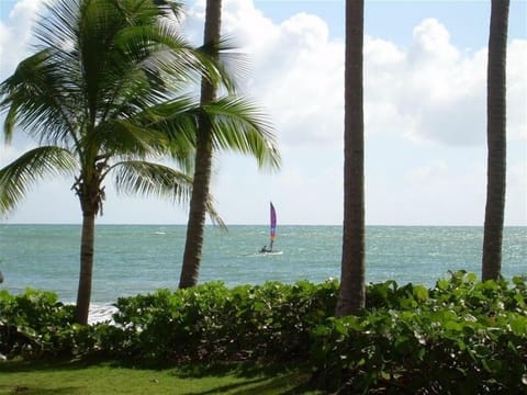 The view from our patio - walk 50 steps and you are in the ocean!