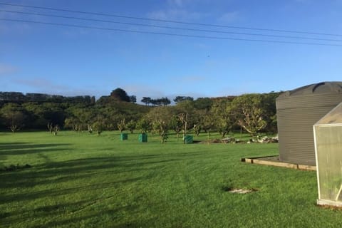 Take a walk up through the orchard
