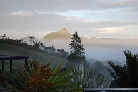 Pure beauty view from CCS