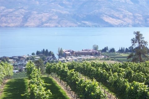 view from Mission Hills Winery - Barona complex in front