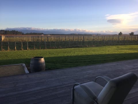 Distant views of vineyard and Tararuas