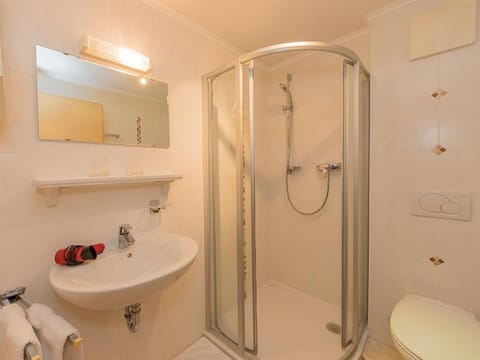 Apartment / 1 bedroom / bath, WC - Machreich, house Apartment in Maria Alm