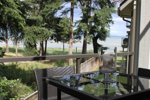 Deck off living area 