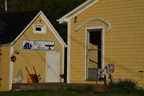 Rib of a fin whale...skull of a pilot....a home with a genuine nautical flair