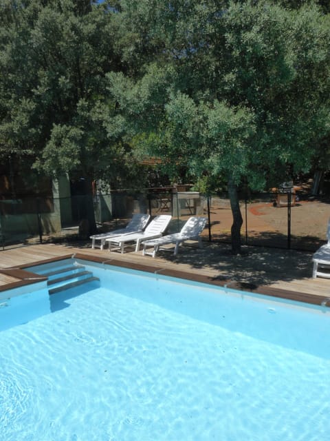 Swimming pool view