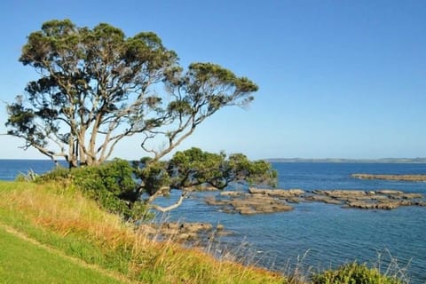 View from the Point
