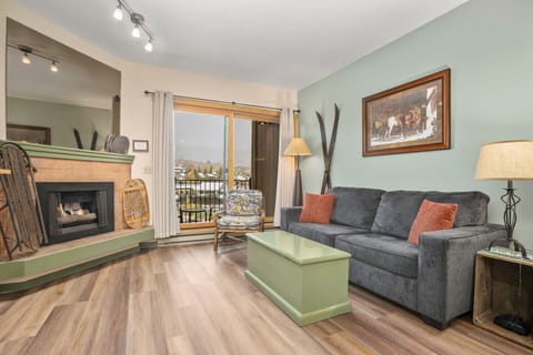 All you need! Full kitchen, gas fireplace, Queen Murphy-Bed and sofa sleeper
