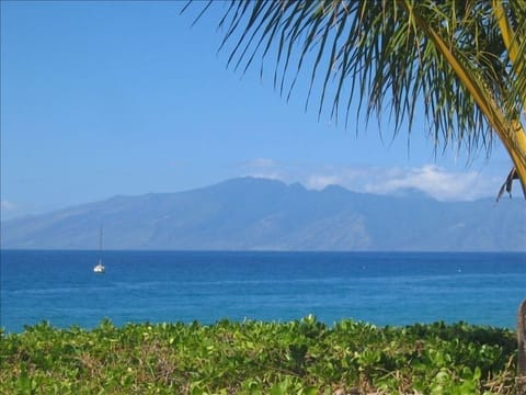 Beach view