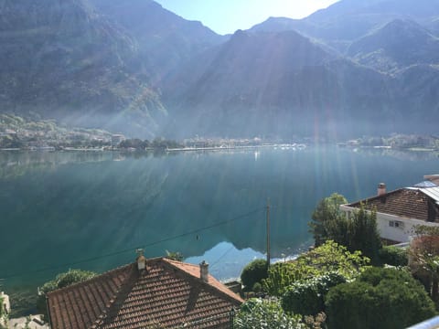 Enjoy this view with your morning coffee! 