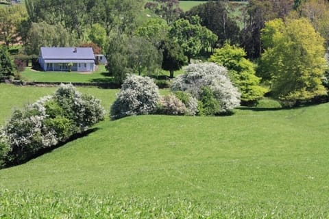 From the hill