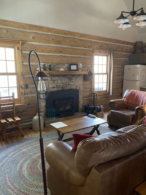 Wood burning heating efficient fireplace in great room