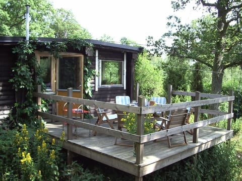 Terrace at the house (south)