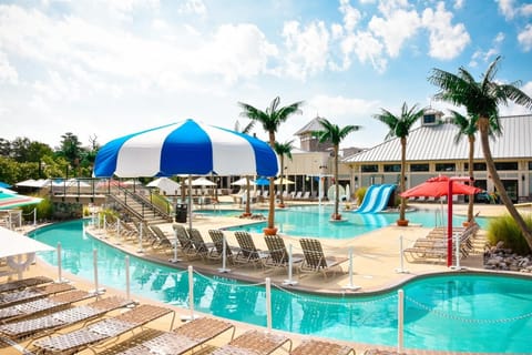 Resort community pool, Lazy river, 3 slides, Olympic size pool, kiddie pool