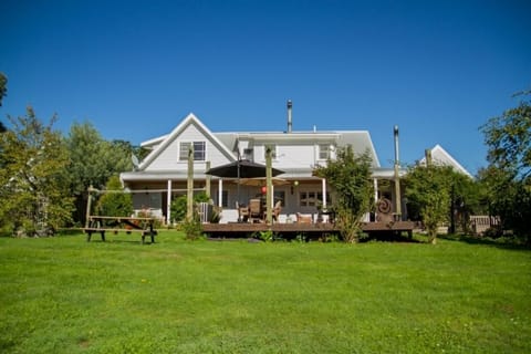 View from the back yard