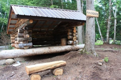 Adirondack lean-to - 3 sided structure with platform for sleeping 
