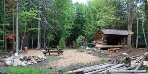 Lean-to with picnic table, fire-pit, outhouse and outdoor shower