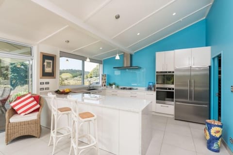 Kitchen, all contemporary F andamp; P Appliances