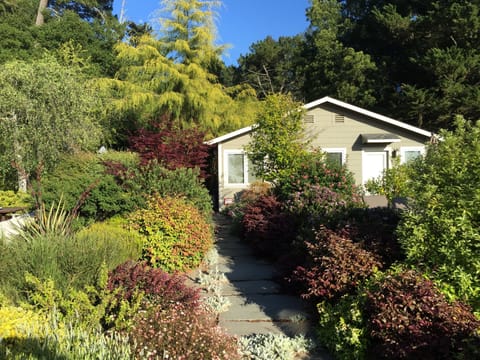 Garden Studio from entry path