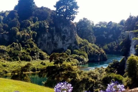 Tranquil view of the Waikato River