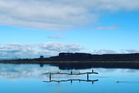 Estuary