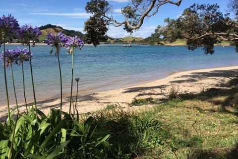 Another view from the grass