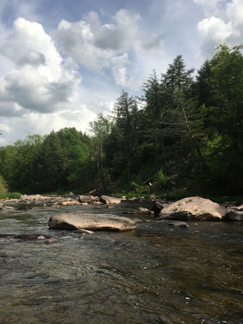 Schohaire Creek view on edge of poperty