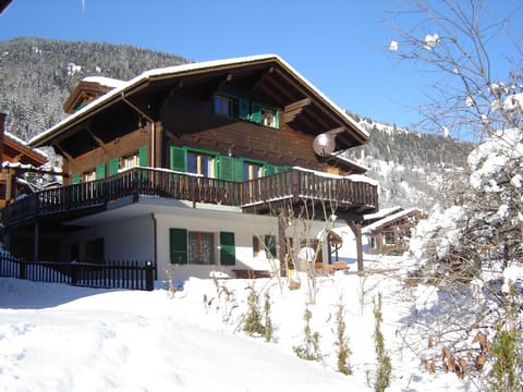 Chalet in the winter