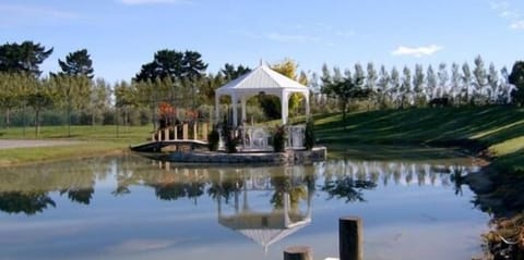 Our Pond & Summerhouse  OliveGroveCottageChristchurch@g mail.com