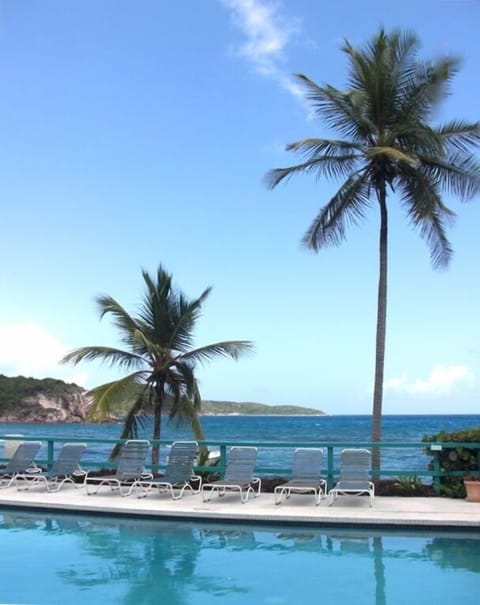 This Wonderful Oceanfront Pools is Steps from Paradise Too!