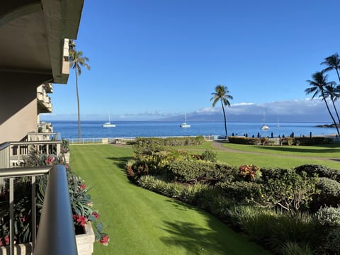 Beautiful view from the balcony of #264, looking left.