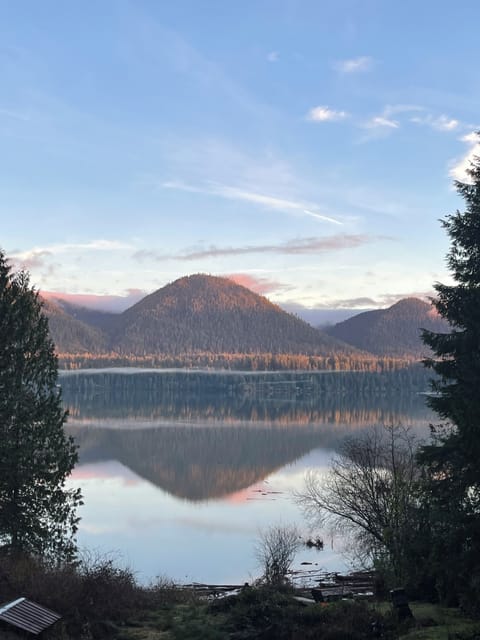 View from the Living Room in the Cottage