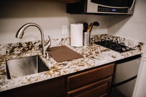 Deep sink, sprayer faucet, granite, mini freezer and fridge, & convection oven