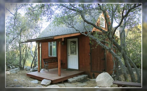 The Playhouse. Off grid tiny house tucked away in the trees.