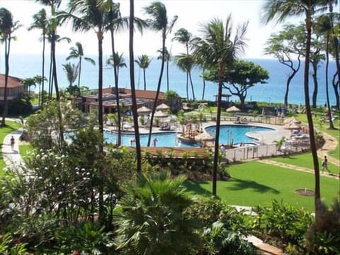 Ocean front Pool, Spa, Castaway Restaurant, adjacent to beach