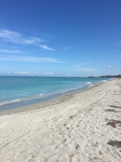 Private Turtle Beach