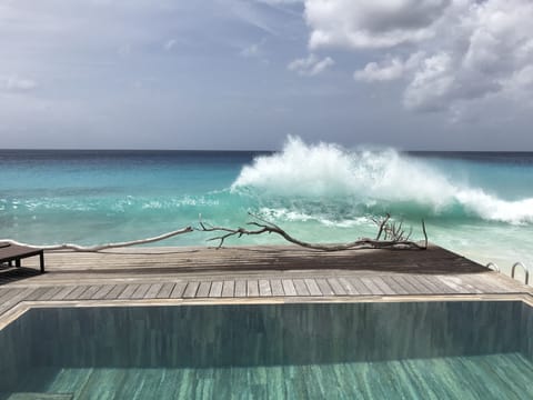 Pure and unique Oceanfront - perfect privacy