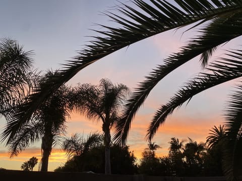 Sunset  & Sunrise Views