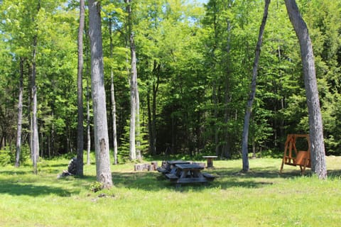 Picnic area with tables and fire pit.