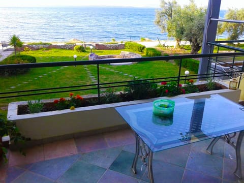 the beautiful view of the sea and the garden