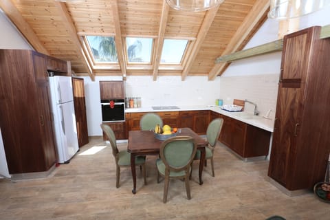 Penthouse common space (living room, kitchen)
