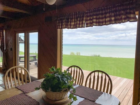 view from dining area