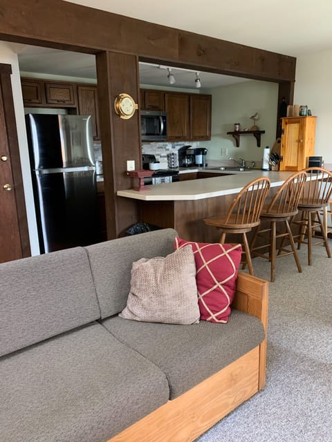 Living Room pull out sofa looking towards kitchen
