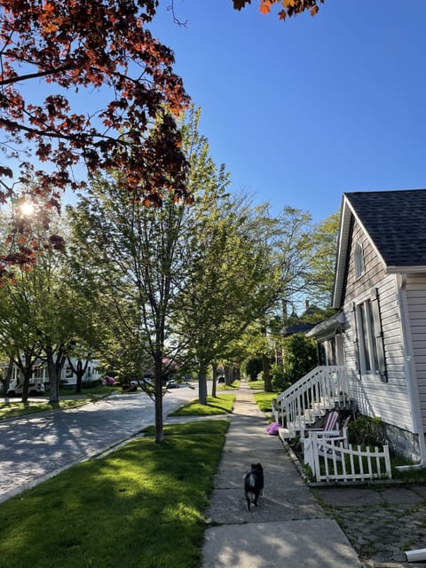 Pearl Street looking towards bluff, lake and beach