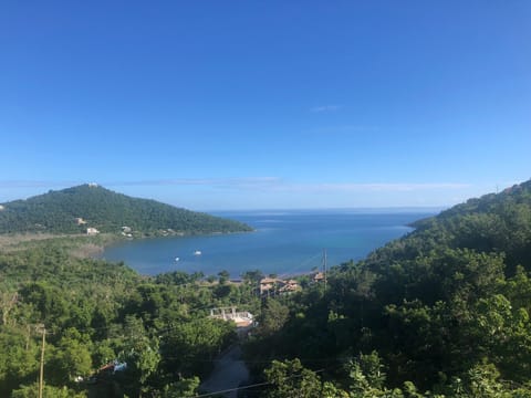 Fish Bay view