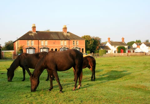 Waterley Brockenhurst. Second cottage from the right.