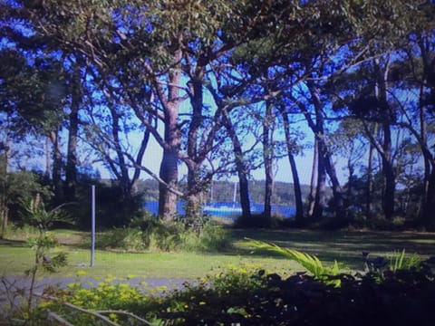 View from front yard